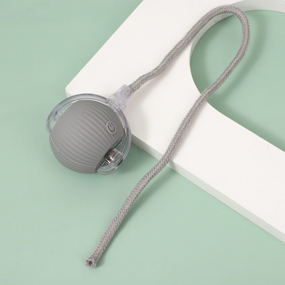 String pet ball toy