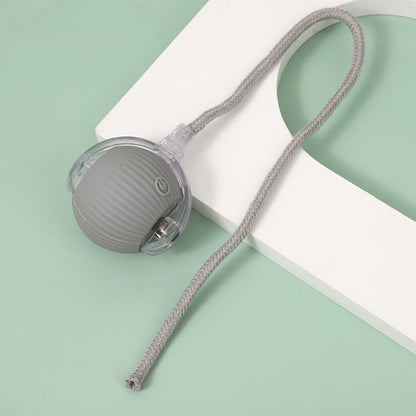 String pet ball toy