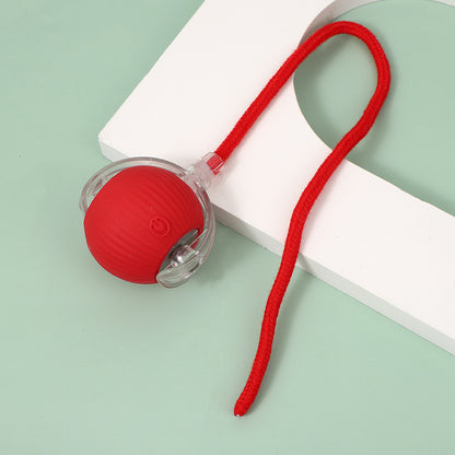 String pet ball toy