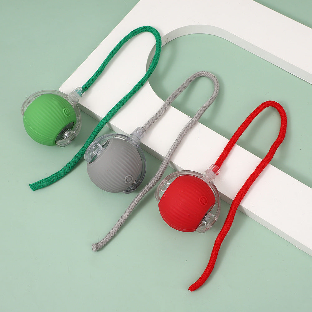 String pet ball toy