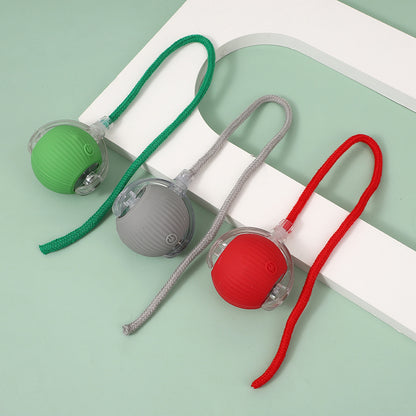 String pet ball toy