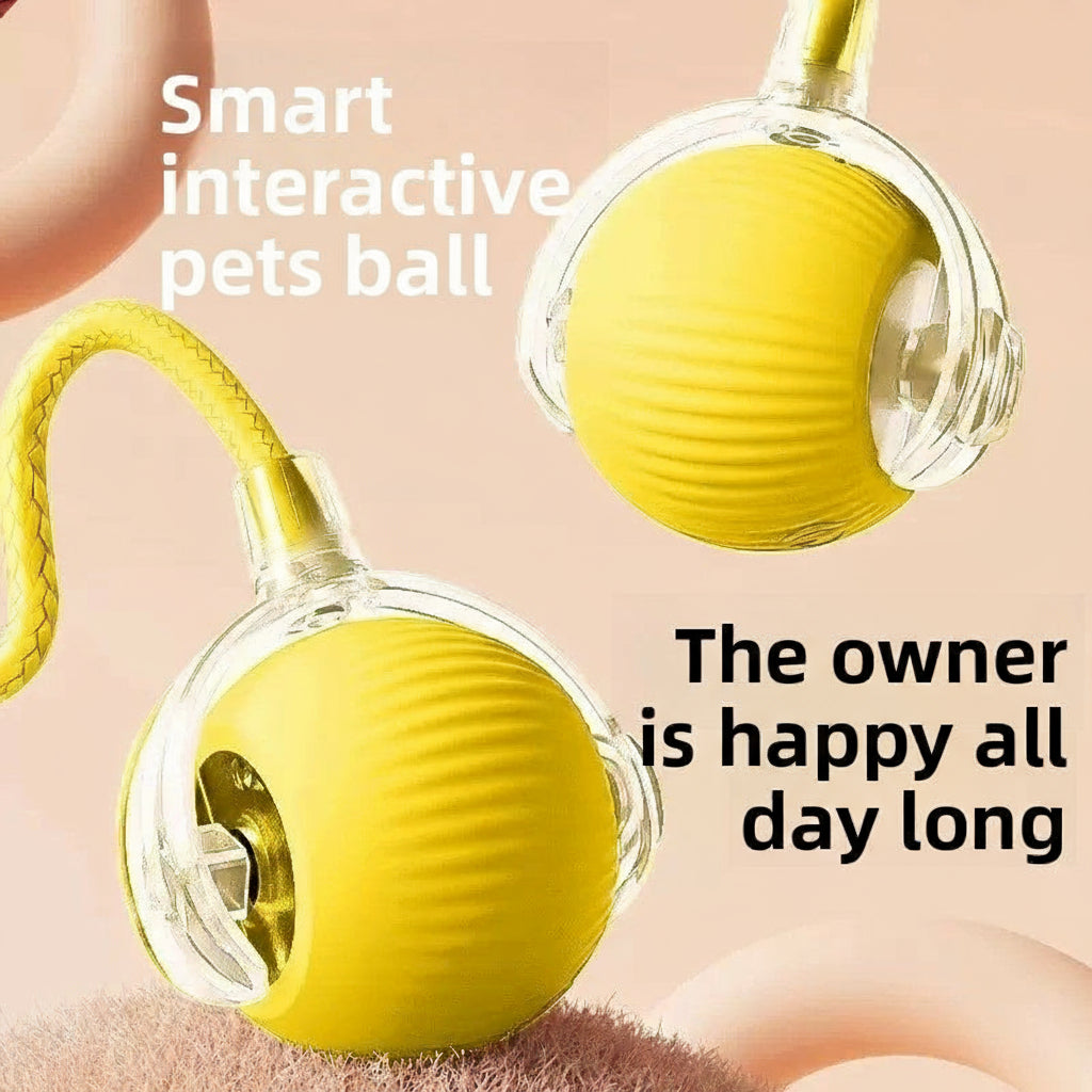 String pet ball toy
