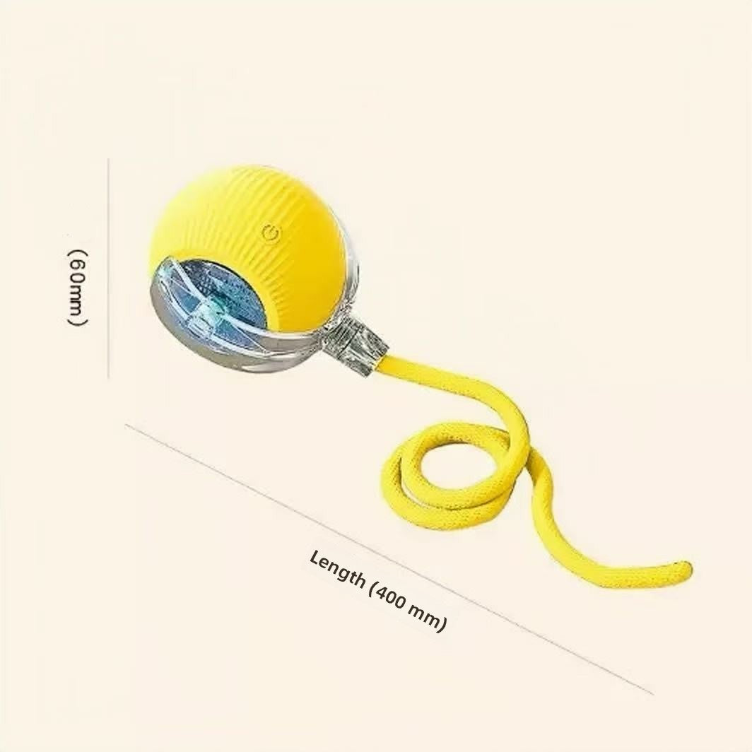 String pet ball toy