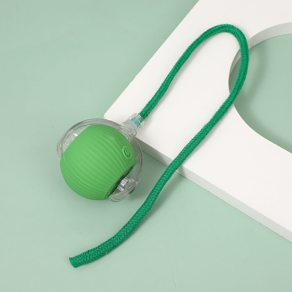 String pet ball toy